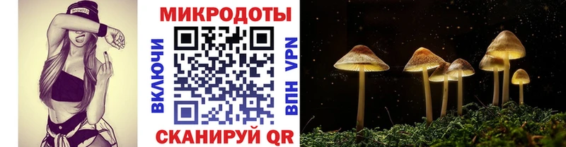 Галлюциногенные грибы ЛСД Кировград